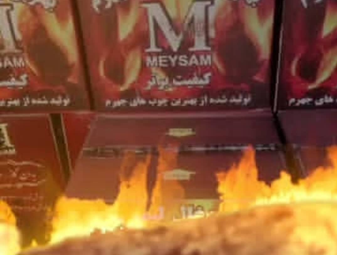 تولید و صادرات زغال حبه ای میثم سدیدی در جویبار